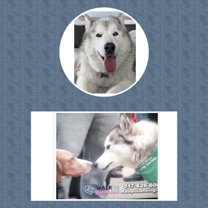 Fundraising Page: Caren Hendley